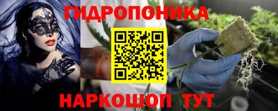стаф Балахна