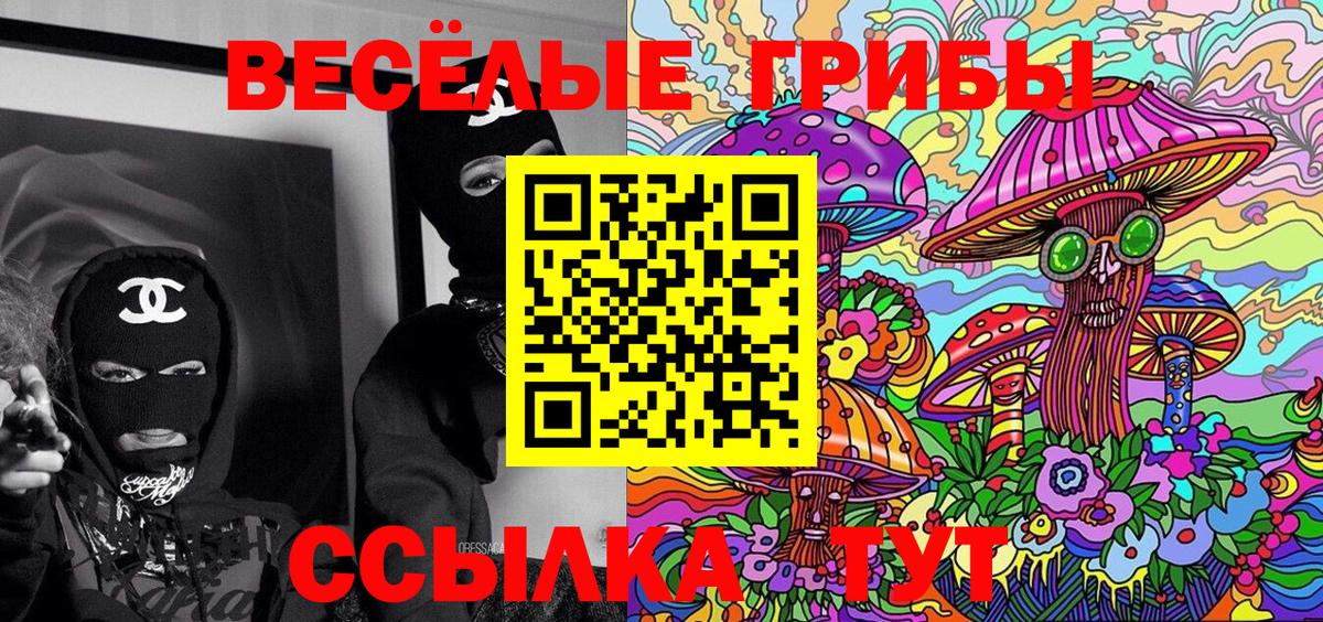 Гурьевск  Галлюциногенные грибы Psilocybine cubensis  где купить наркоту  Вход с VPN  Псилоцибиновые грибы MAGIC MUSHROOMS 