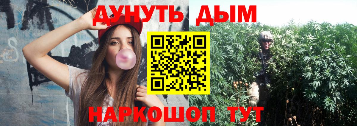 МАРИХУАНА сатива Гурьевск
